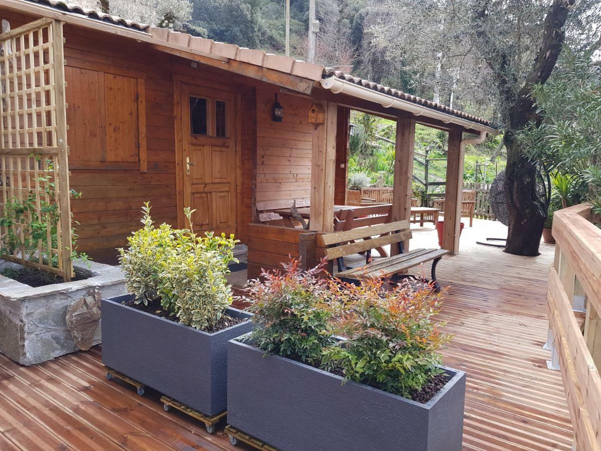 Le Chalet De Valentine & Laurent Olmiccia Экстерьер фото